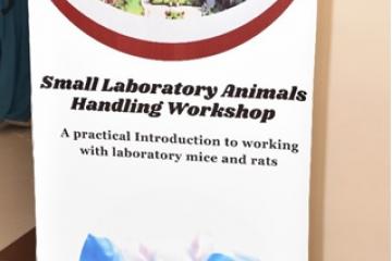 Small Laboratory Animals Handling11717124754.jpg