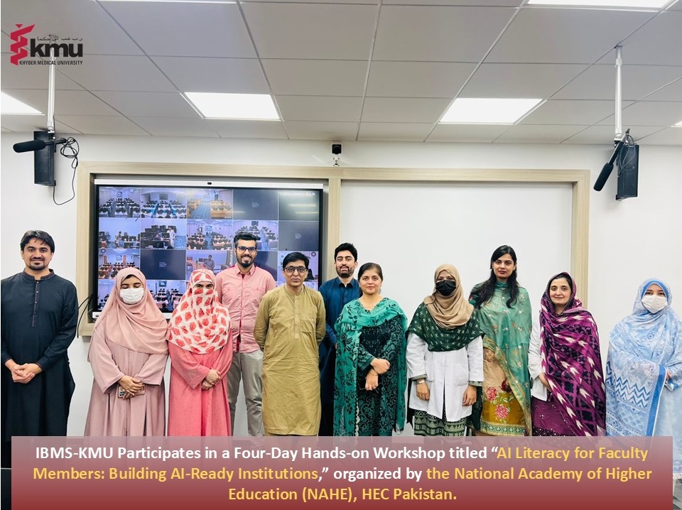 IBMS-KMU Participates in HEC’s "AI Literacy for Faculty Members" Training Program